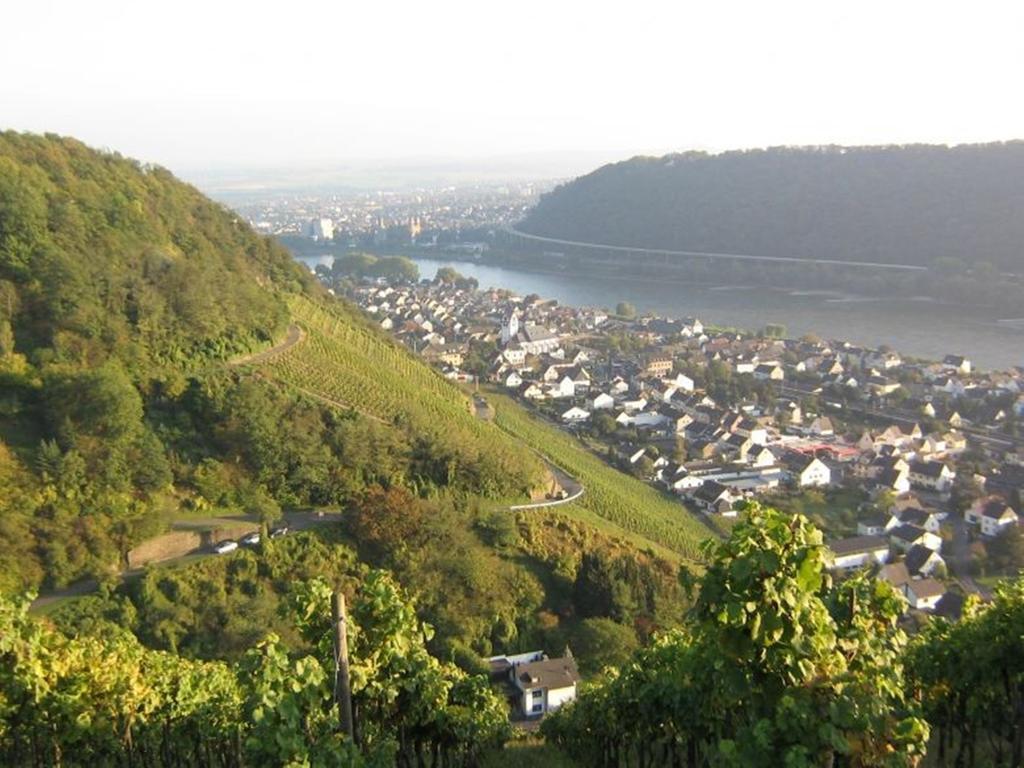 Hotel Am Martinsberg Андернах Экстерьер фото